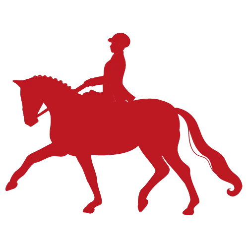 Horse Dressage Finish Line Horsebox Hire