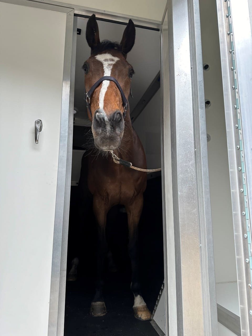 Finish Line Horsebox Hire 7 Finish Line Horsebox Hire